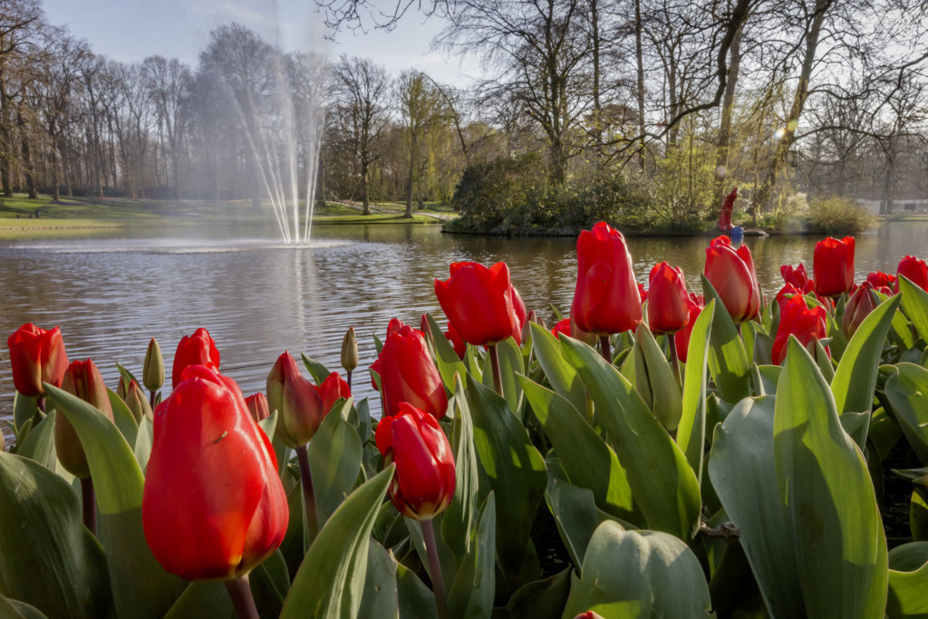 keukenhof