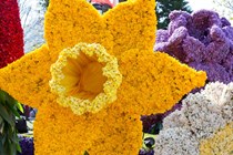Bloemencorso