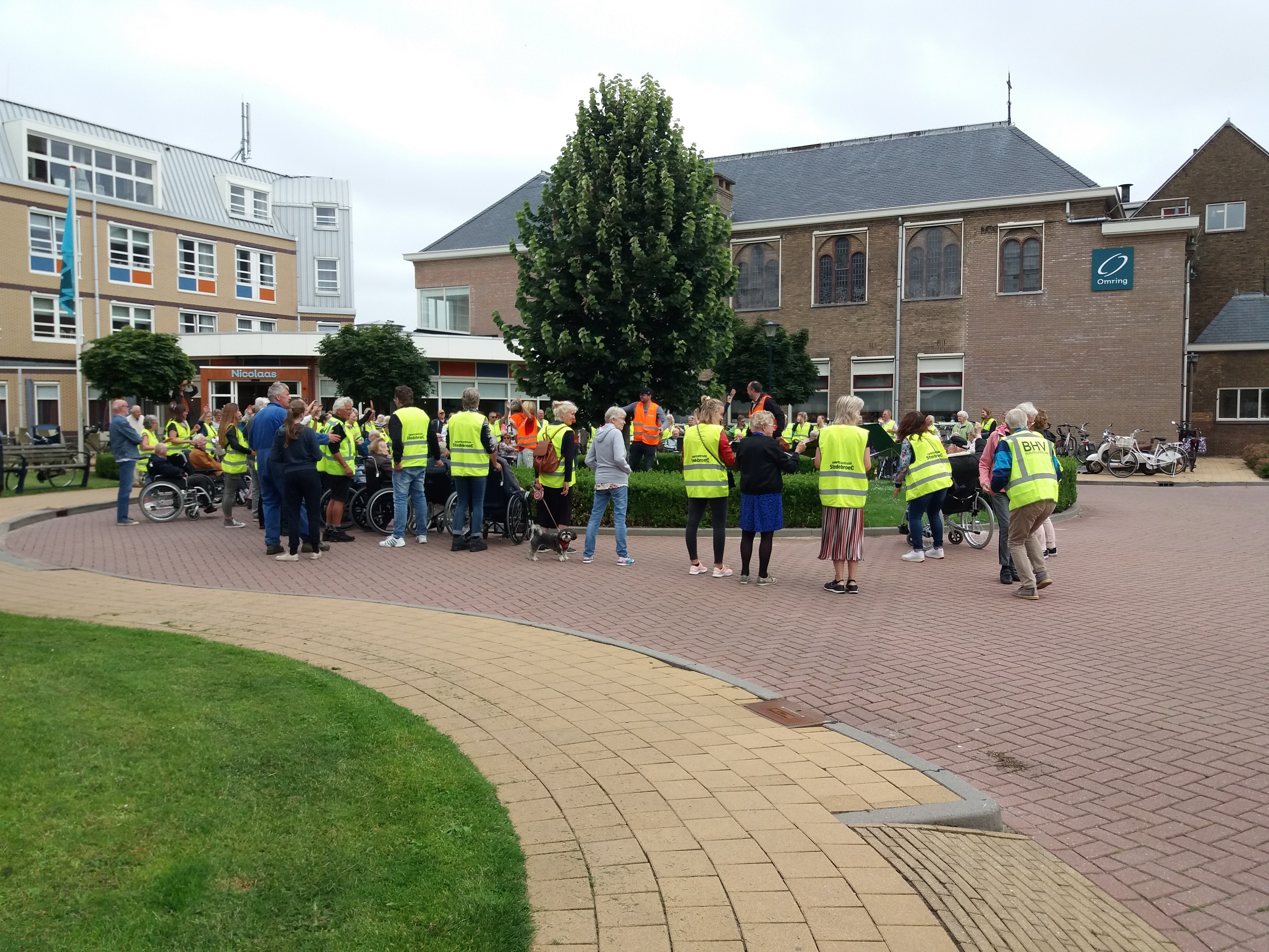 Wandeldriedaagse