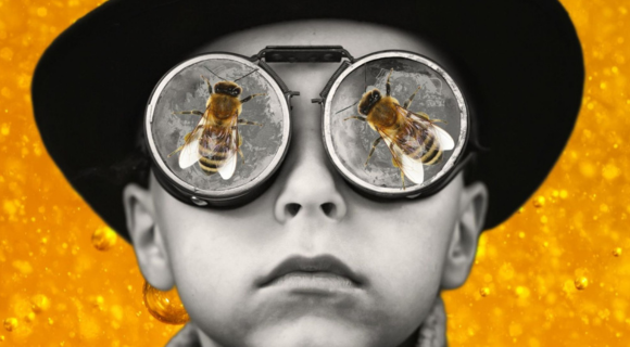 Plan Bee met korting